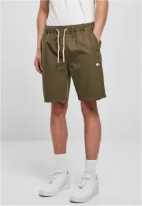 Southpole Twill Shorts olive - Size:L
