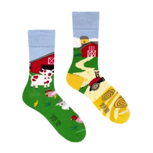 Ponožky Spox Sox Colorful Casual #2753755