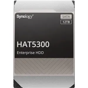 Synology HAT5300-12T #7921419