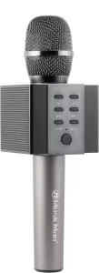Technaxx ELEGANCE bluetooth karaoke mikrofon, 2x5W repro, černá (BT-X45)