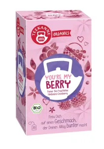 TEEKANNE You're My berry bylinný čaj BIO 20 sáčkov