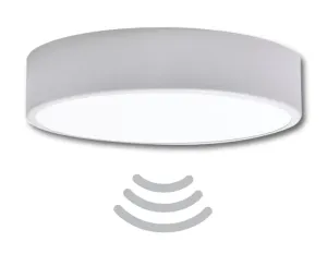 Stropné svietidlo do kúpelně s čidlom Temar CLEO 300 strieborná mat IP54 (Stropné svietidlo do kúpelně s čidlom Temar CLEO 300 strieborná mat IP54)
