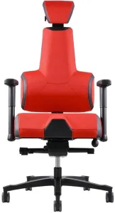 THERAPIA Zdravotná stolička E+Gamer Red&Black