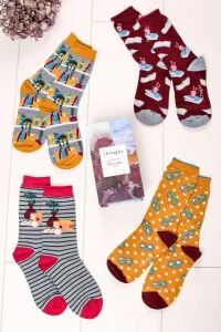 Viacfarebné ponožky v darčekovej krabičke The Reader Sock Box - štvorbalenie #3483071