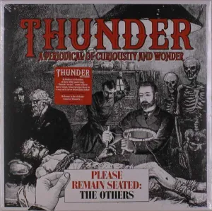 THUNDER - RSD - PLEASE REMAIN SEATED - THE OTHERS, Vinyl