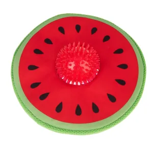 TIAKI Plávajúci vodný melón s loptičkou - Ø 25,5 x V 8,5 cm
