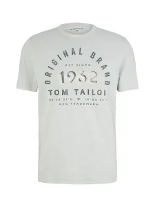 Tom Tailor Pánske tričko Regular Fit 1035549.30869 M