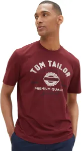 Tom Tailor Pánske tričko Regular Fit 1037735.10574 XXL