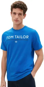 Tom Tailor Pánske tričko Regular Fit 1040988.12393 XXL