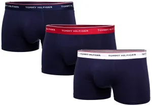 Tommy Hilfiger 3 PACK - pánske boxerky 1U87903842-904 L