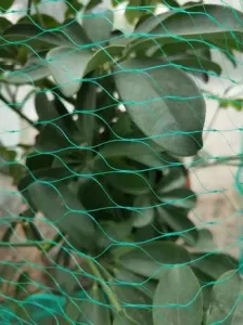 TORO Ochranná sieť proti vtákom Toro 4 x 5 m