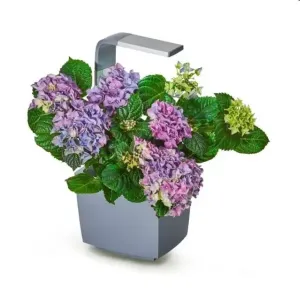 Šikovný kvetináč TREGREN T3 Kitchen Garden sivý (T3GEU)