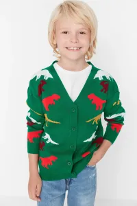 Trendyol Green Dinosaur Pattern Boy Knitwear Sweater #4762609