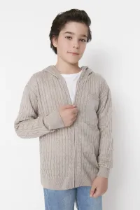 Trendyol Stone Hooded Boy Knitwear Cardigan #5058969