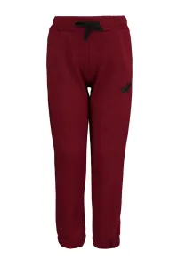 Trendyol Claret Red Embroidery Detailed Boy Knitted Sweatpants #5061671