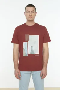 Pánske tričko Trendyol Printed #4315453