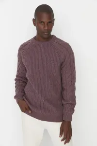 Pánsky sveter Trendyol Knitwear #4545348