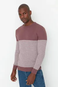 Pánsky sveter Trendyol Striped