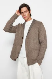 Trendyol Mink Men's Regular Fit Men's Collar Knitwear Cardigan
