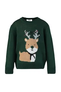 Trendyol Green Patterned Girl Knitwear Sweater #4758312