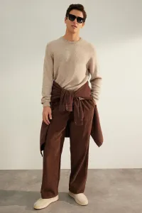 Trendyol Limited Edition Beige Men's Regular Fit Crew Neck Wool Basic Knitwear Sweater