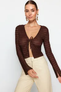 Trendyol Brown Premium Tie Detailed Textured V-Neck Stretchy Knitted Blouse