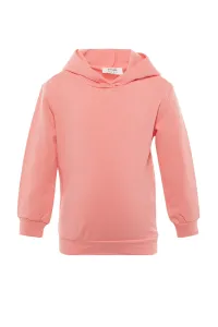 Trendyol Sweatshirt - Pink - Regular fit #5051444