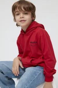 Trendyol Boy's Red Embroidered Basic Hooded Knitted Thin Sweatshirt