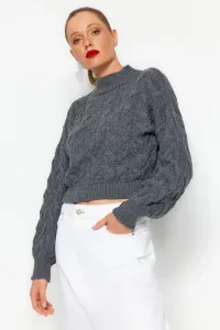 Trendyol Anthracite Crop Stand-Up Collar Knitwear Sweater #6789966