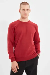 Pánsky sveter Trendyol Basic #741314