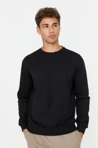 Pánsky sveter Trendyol Basic #781845