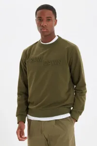 Pánsky sveter Trendyol Basic #4314443