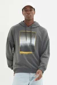 Trendyol Anthracite Regular/Normal Cut Long Sleeve Hooded Printed Sweatshirt