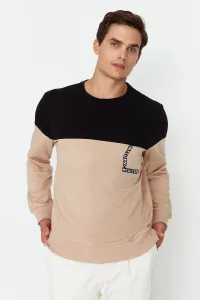 Trendyol Beige Men's Regular Fit Long Sleeve Crew Neck Paneled Printed Cotton Sweatshirt