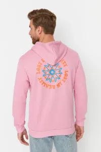 Trendyol Pale Pink Regular Fit Hooded Printed Sweatshirt #5255820