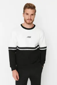 Trendyol Ecru Men's Regular/Real fit Long Sleeved Crewneck Printed Paneled Sweatshirt