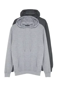 Trendyol Gray 2 Pack Regular/Normal Fit Basic Hooded Sweatshirt