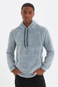Trendyol Men's Gray Regular/Normal Fit Hooded Kangaroo Pocket Long Sleeve Warm Plush Sweatshirt