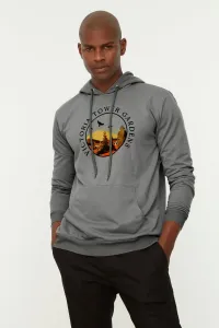 Trendyol Gray Men's Regular Cut Hooded Tropical Printed Sweatshirt