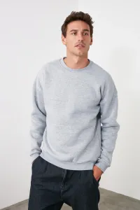 Trendyol Men's Gray Men's Regular/Real fit Long Sleeved Crewneck Zippered Sweatshirt