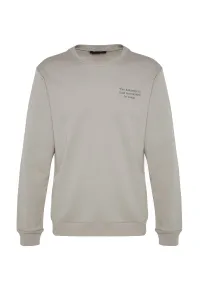 Trendyol Gray Men's Regular/Regular Cut, Text Printed Cotton Sweatshirt