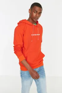 Trendyol Orange Regular Hooded Long Sleeve Sweatshirt #4201359