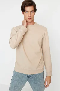 Pánsky sveter Trendyol Basic