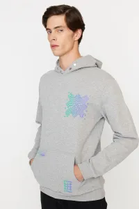 Trendyol Men's Gray Regular Fit Hooded Printed Sweatshirt