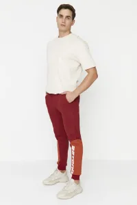 Trendyol Claret Red Men's Regular Fit Lactite Legs Paneled Printed Sweatpants