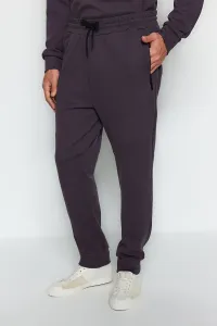 Trendyol Limited Edition Anthracite Men's Regular/Normal Fit Zipper Pocket Thick Sweatpants