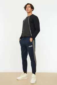 Trendyol Navy Blue Men's Regular/Normal Cut Trousers with Elasticated Elasticated Joggers, Text Printed Sweatpants