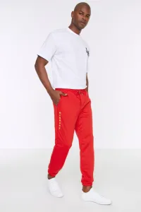 Trendyol Red Men's Regular Fit Printed Sweatpants #730884