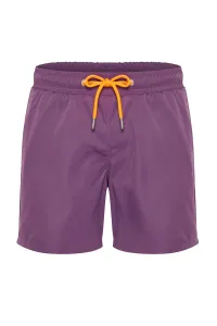 Trendyol Men's Dark Purple Basic Standard Size Marine Shorts