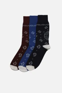 Trendyol Socks - Multicolor - 3 pcs #5161148